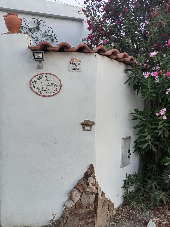 L'ulivo * Maracalagonis