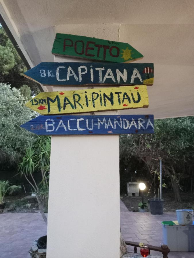 L'ulivo