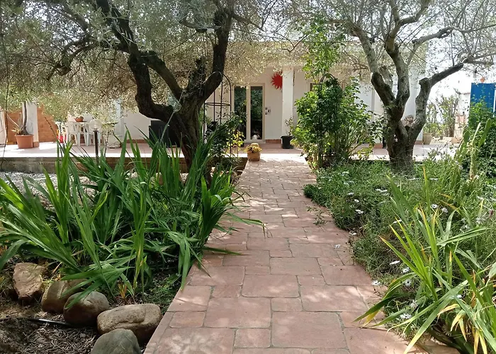 Casa Vacanze L\'Ulivo