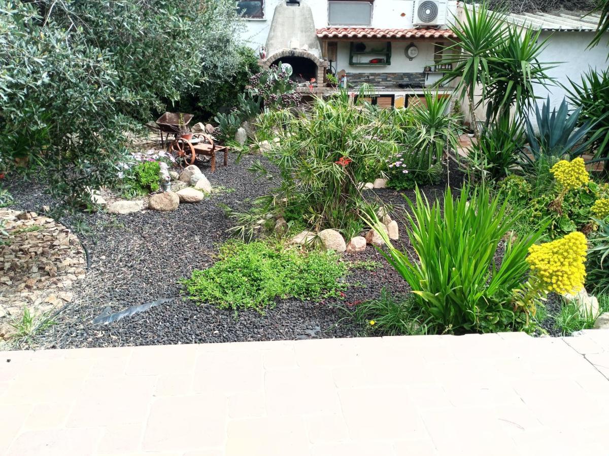 L'ulivo Holiday home Maracalagonis
