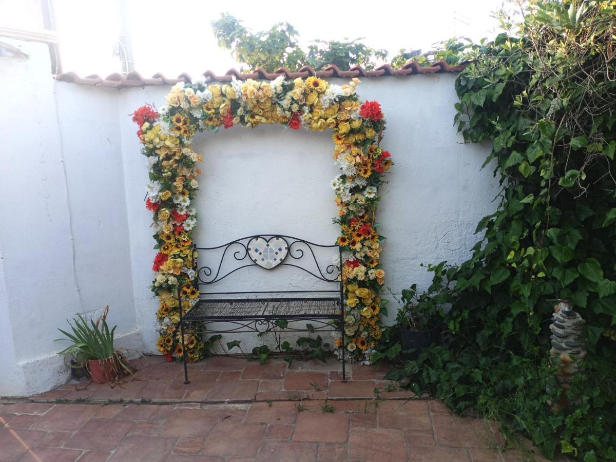 L'ulivo * Maracalagonis